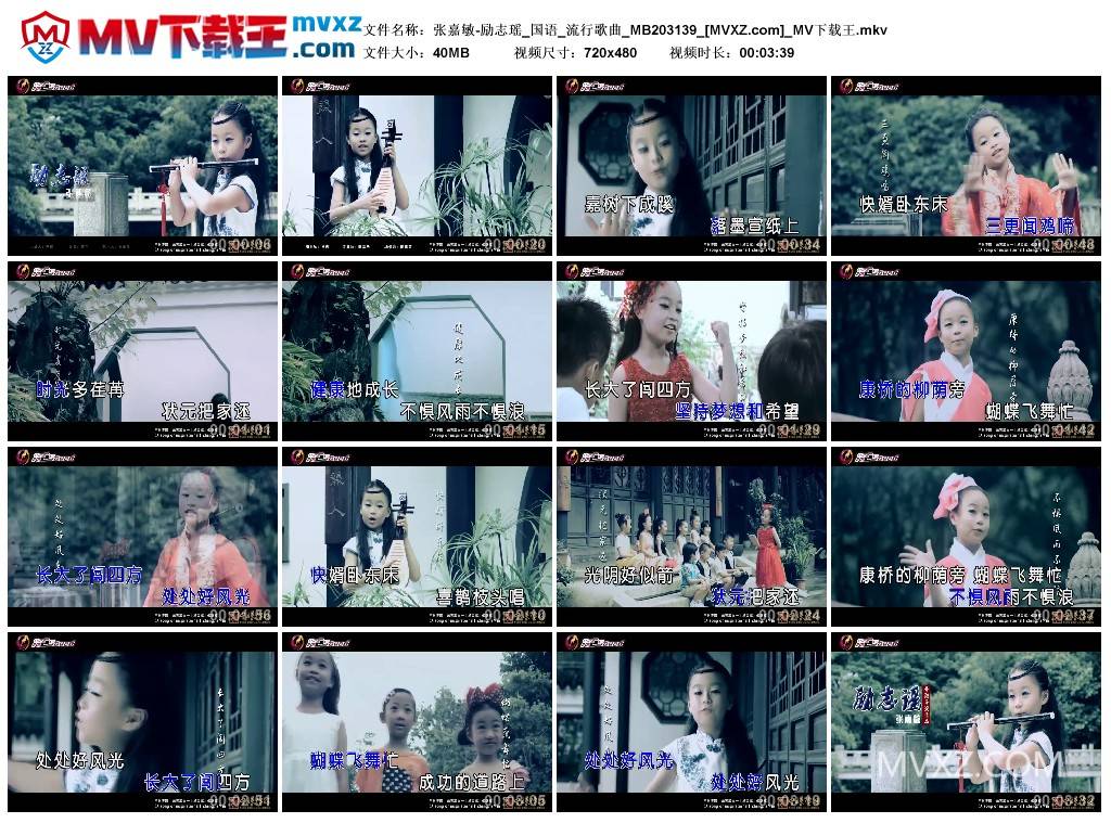 张嘉敏-励志瑶_国语_流行歌曲_MB203139